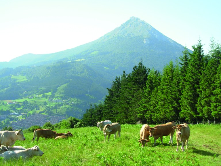 GIRA POR KURTZETXIKI