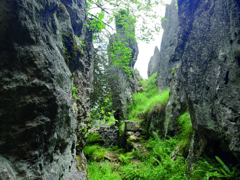 Minas de hierro de Gongeta-Besaide (24 de agosto)