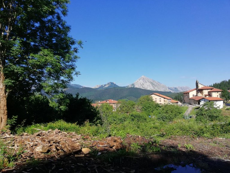 Ruta a Udala. Recogida de moras y taller de mermelada