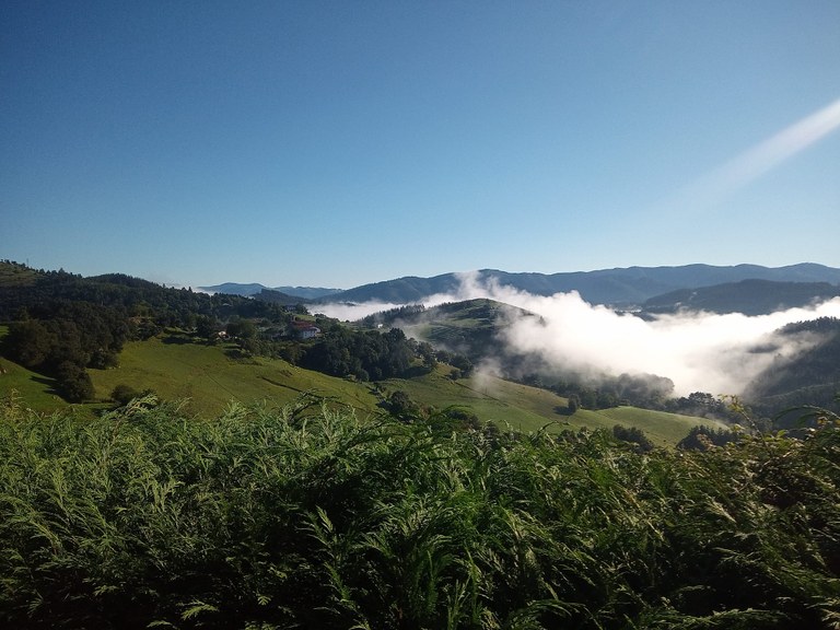 Rutas guiadas en la naturaleza: Circular por Kurtzetxiki (17 de mayo)