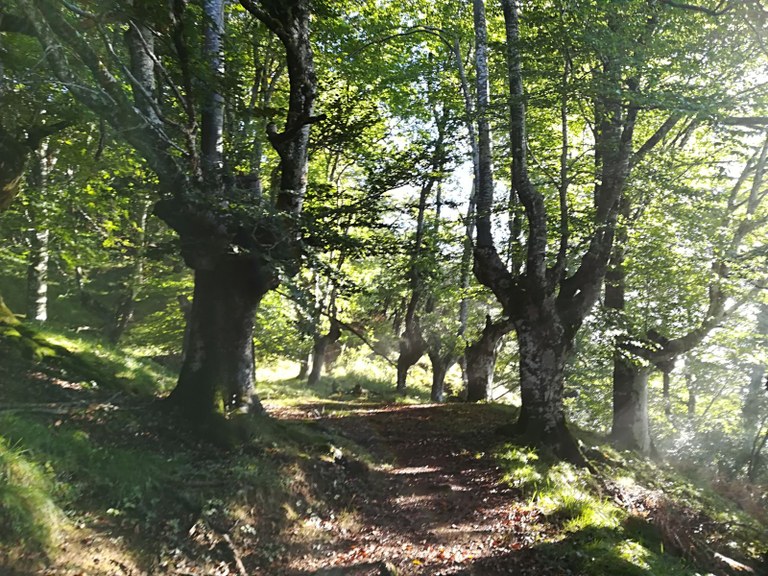 Ruta alrededor del monte Udalatx