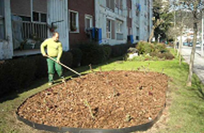 Acolchando el jardín con pinacha