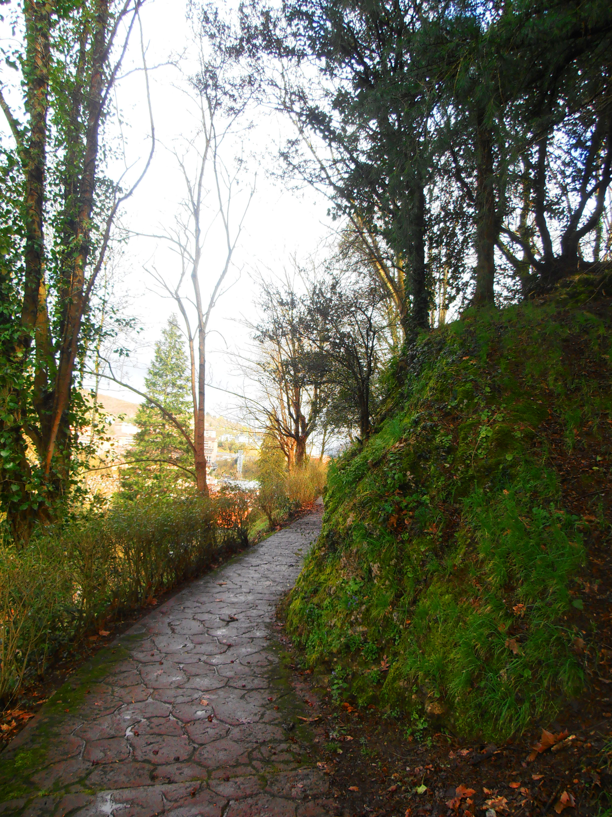 uno de los caminos del parque antiguo.