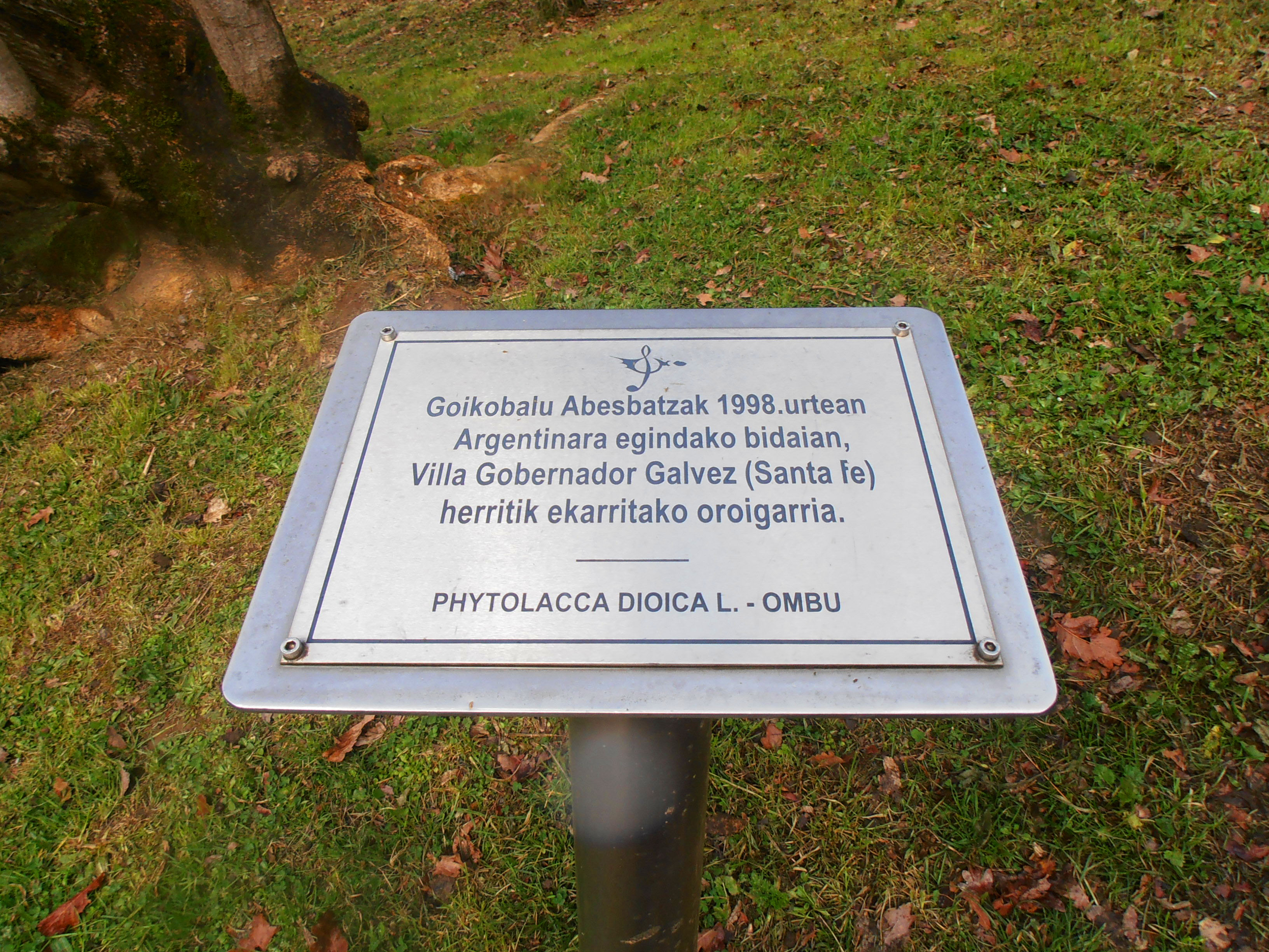 Placa de la phytolacca.