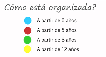 Cómo está organizada