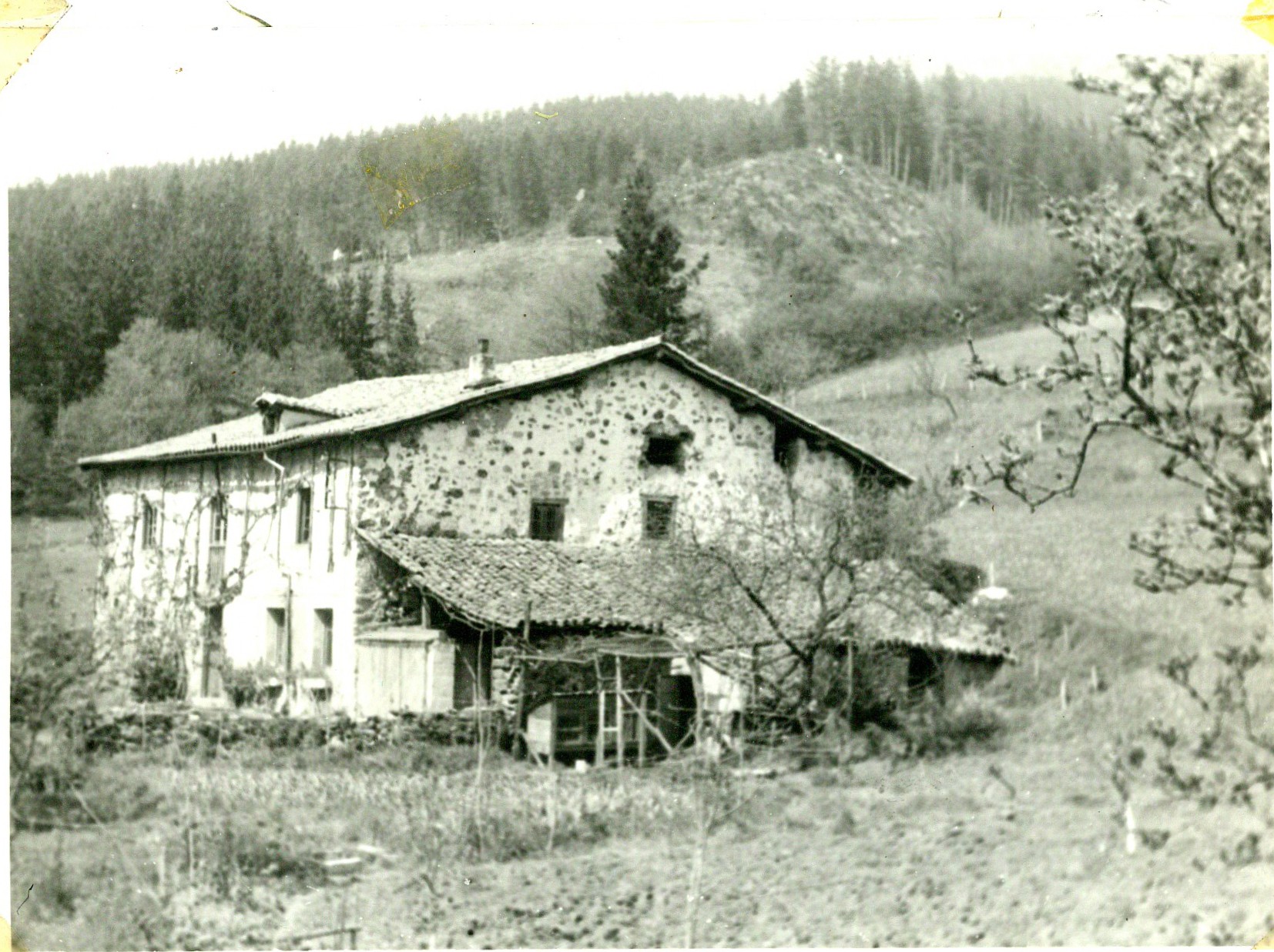 Letona Artxiboa 185