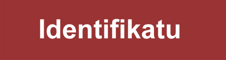 Identifikatu