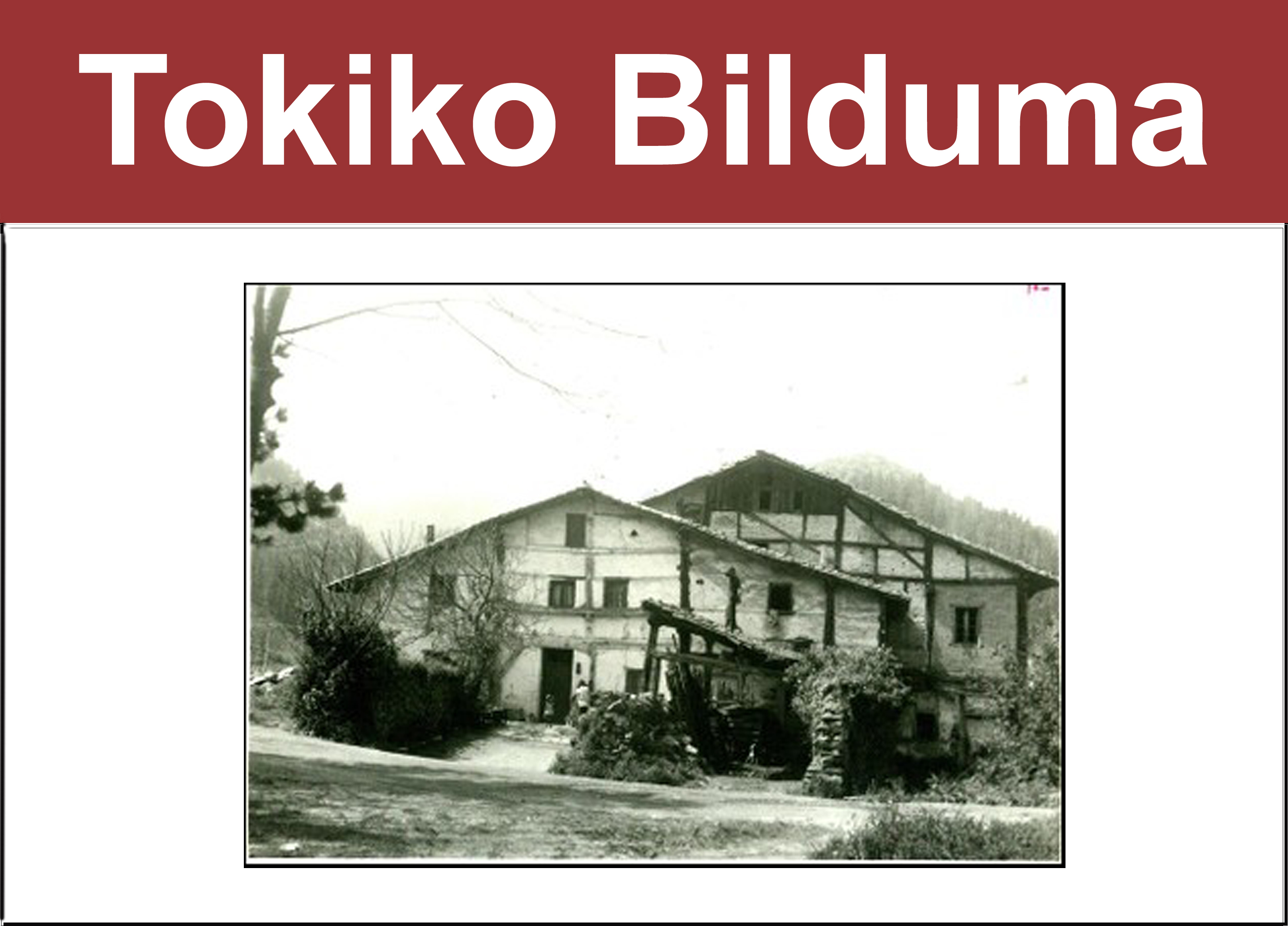 tokiko bilduma