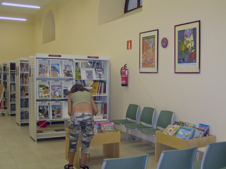 haur biblioteka