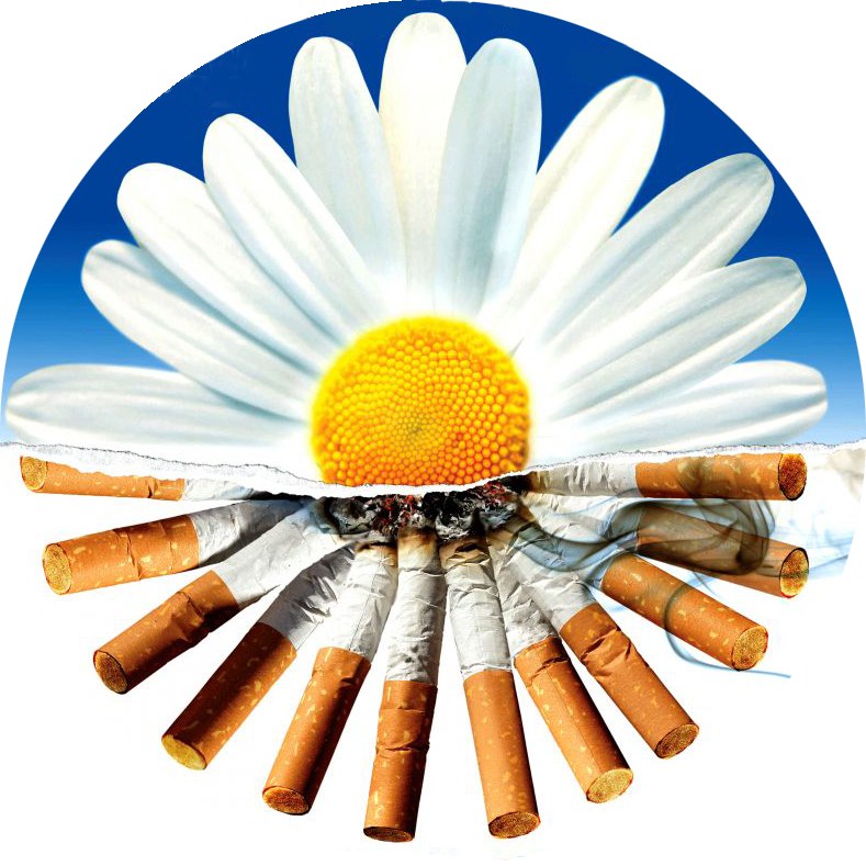 31 de mayo, Dia Mundial sin Tabaco