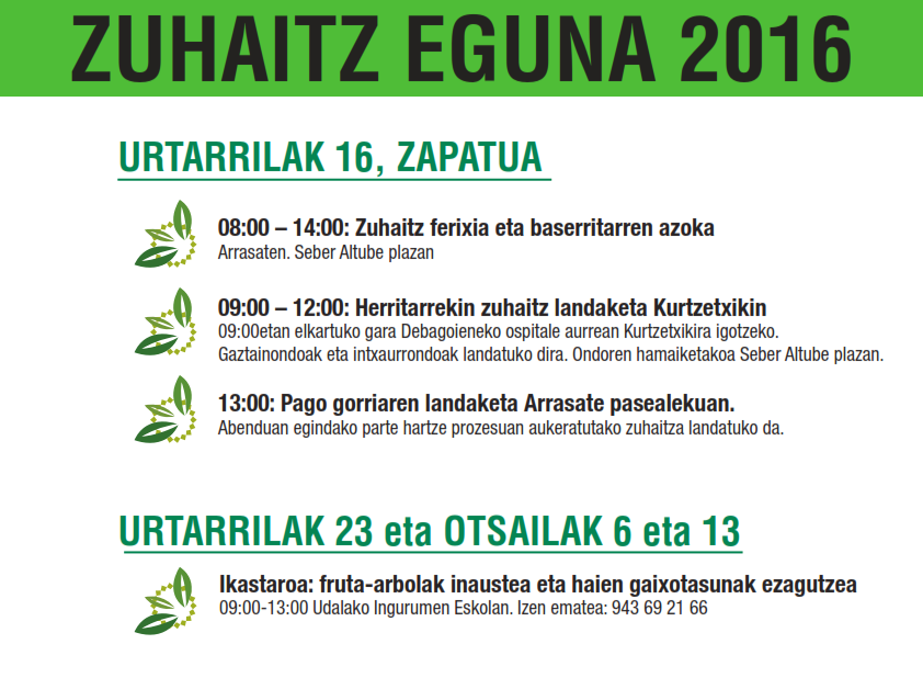 Actividades para celebrar el día del árbol
