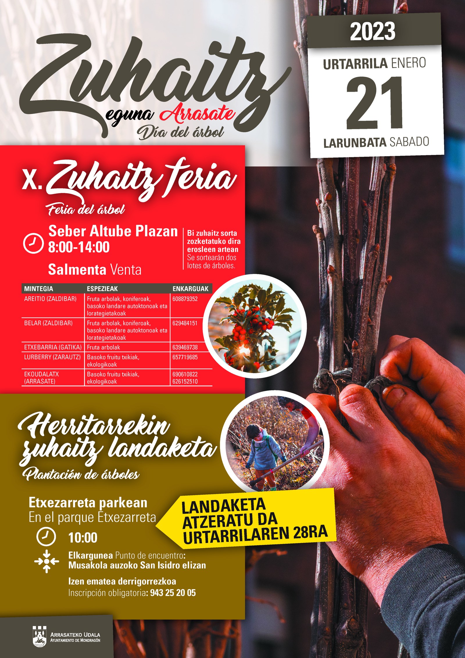 BERTAN BEHERA geratuko da ZUHAITZ EGUNEKO landaketa herrikoia