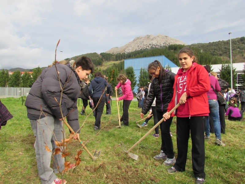 Dia del árbol 2014