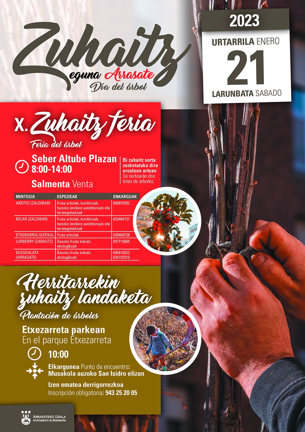 El 21 de enero se celebrará la X edición del Zuhaitz Eguna de Arrasate con la habitual feria del árbol y la plantación de 400 robles en Etxezarreta