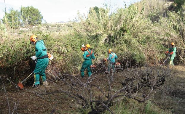 El Ayuntamiento pone en marcha la adjudicación de los trabajos de limpieza de caminos y senderos de la Red de Senderos Naturales