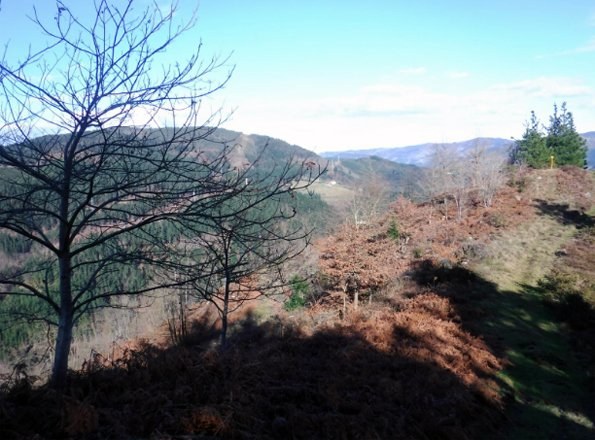 El Ayuntamiento realizará modificaciones en el recorrido Erregebidea-Bedoña para potenciar el atractivo y valor natural del entorno