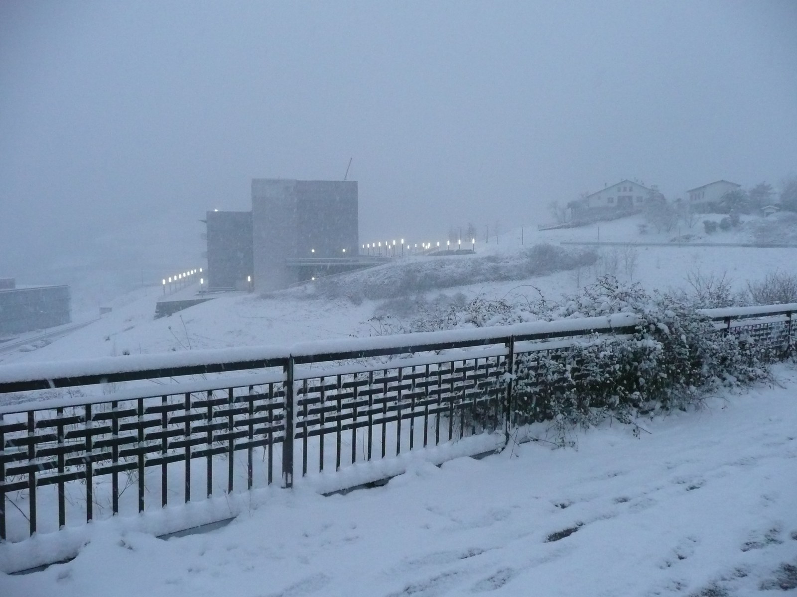 BANDO DE NEVADAS