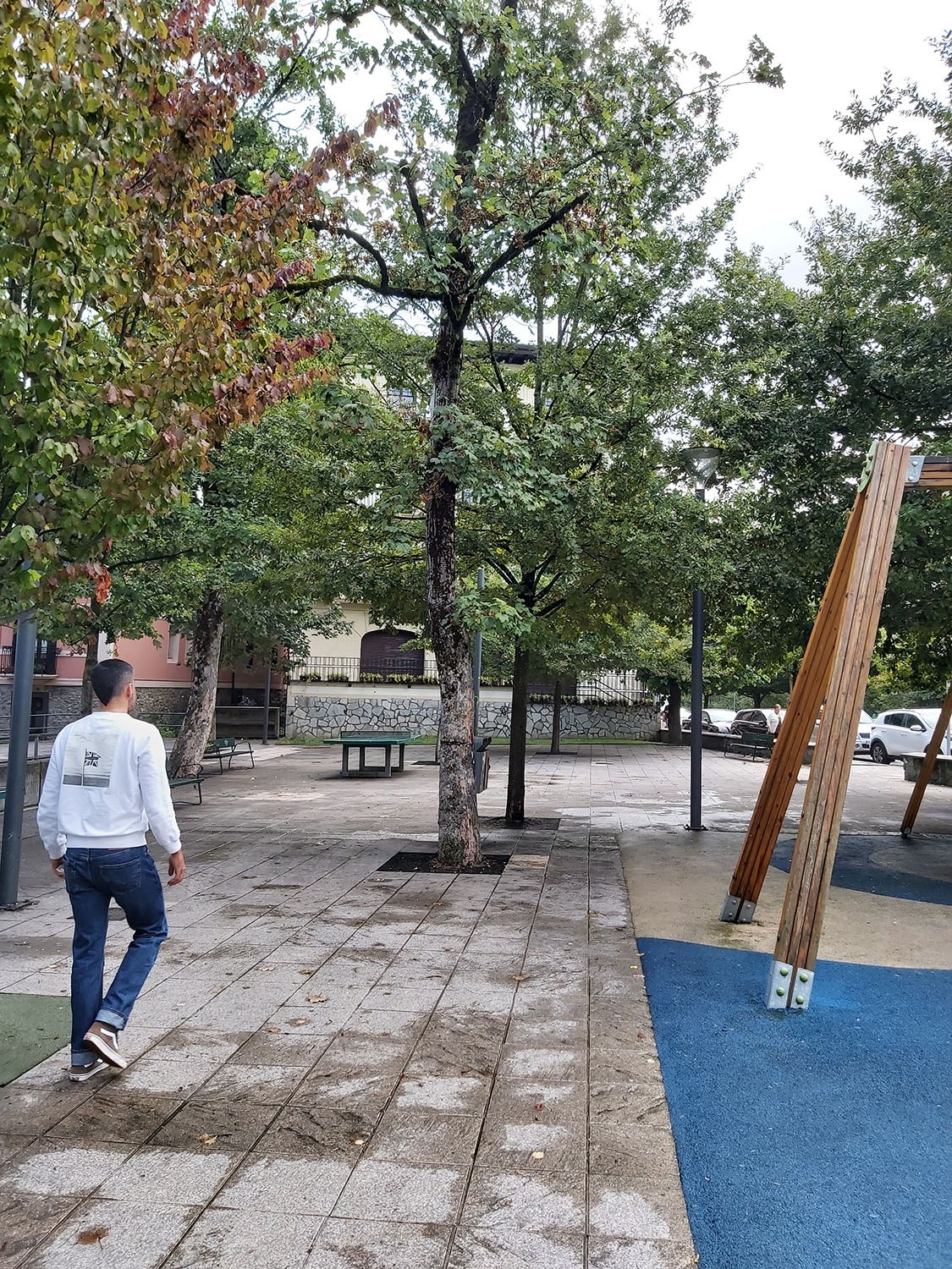 Operarios municipales talarán durante la mañana de hoy un árbol en mal estado en el parque infantil de Zaldibar