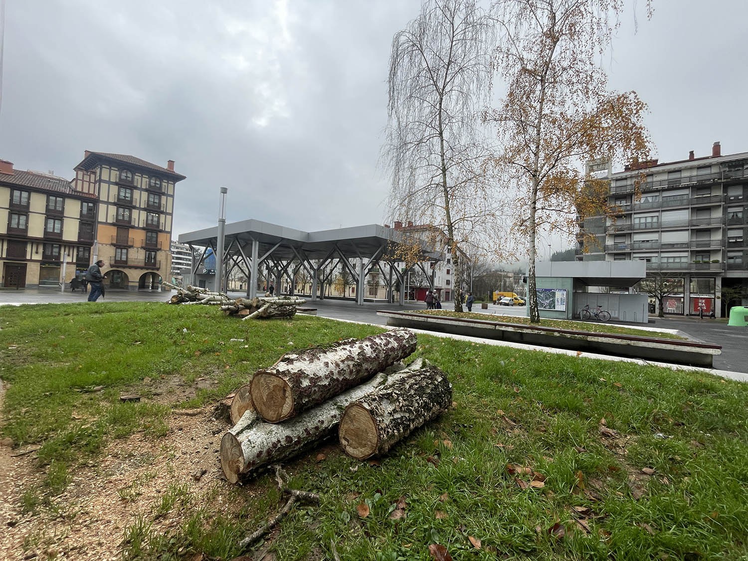 Repondrán con nuevos arbustos los tres árboles muertos extraídos esta mañana en la plaza Biteri