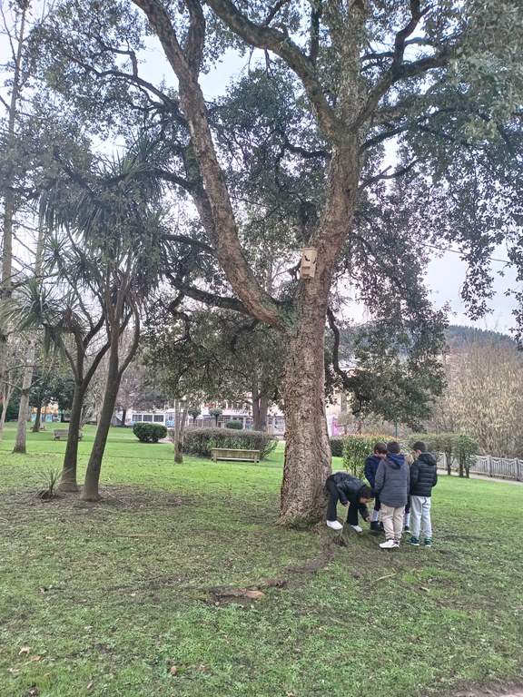 Refugio para murciélagos