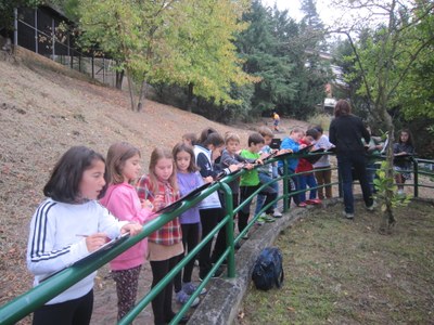 Realizando el diagnóstico del pueblo en temas de biodiversidad