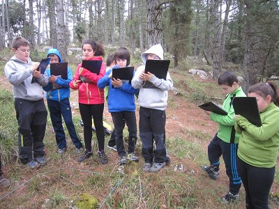 Alumnos trabajando el tema del bosque
