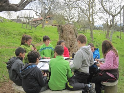 Alumnos trabajando el tema del bosque