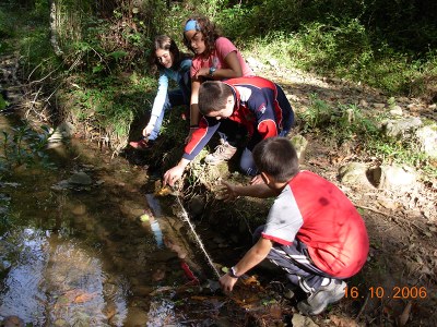 Alumnos calculando la velocidad del agua