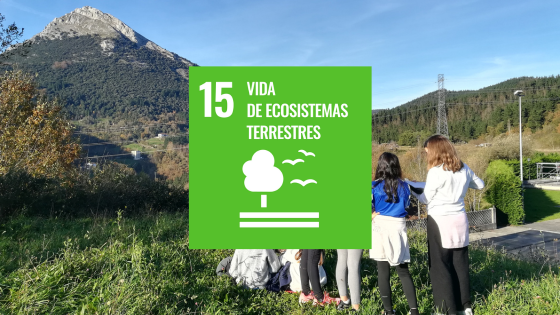 Conclusiones, propuestas y compromisos del curso 2024/2025