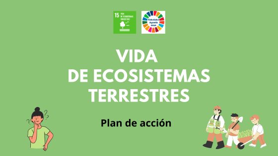 Curso 2025/2026