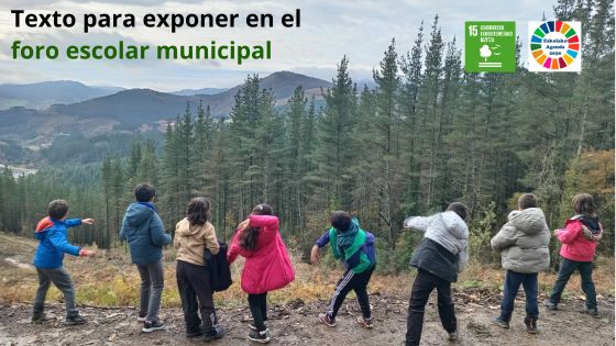 Boletín 2025/2026