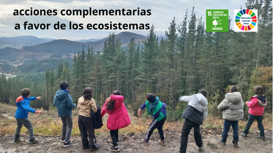 Conclusiones 2025/2026