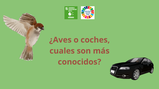 Resultados encuestas