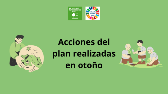 Resumen 2025