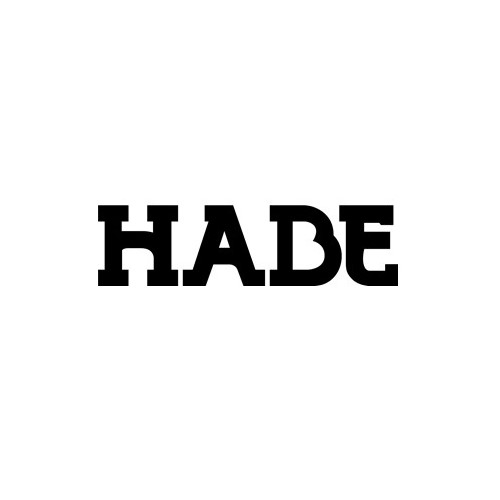 HABE ayudas económicas