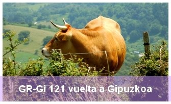 CC by 2.0. David Figuera ~ Vaca de la raza Pirenaica alimentándose en la típica campiña atlántica de Guipúzcoa