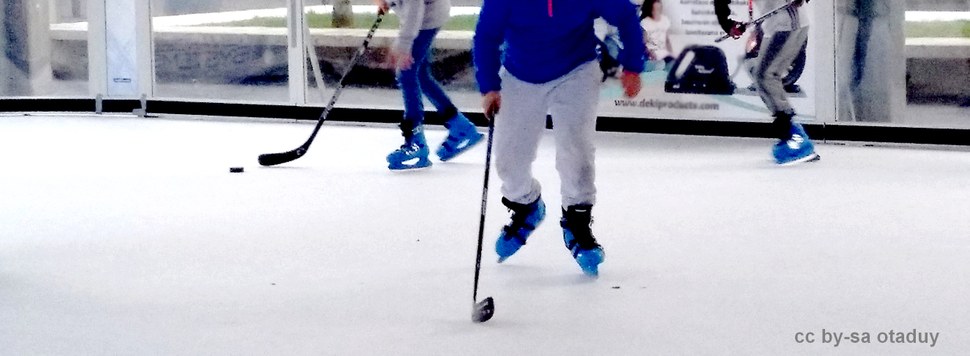 Pista de hielo