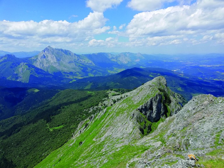 Udalatxeko bira (uztailak 20)