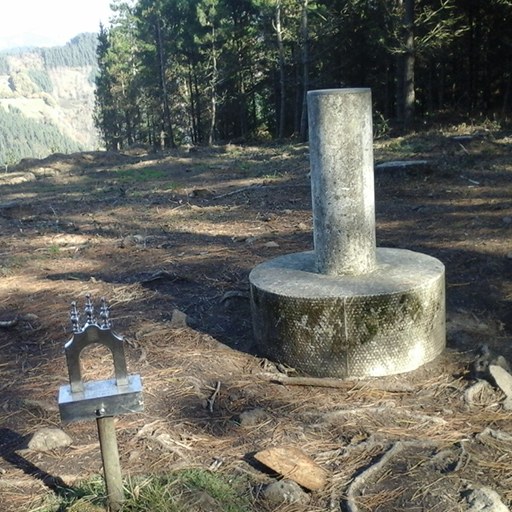 ANPORRETAKO BIRA. BURDINAREN BIDEA