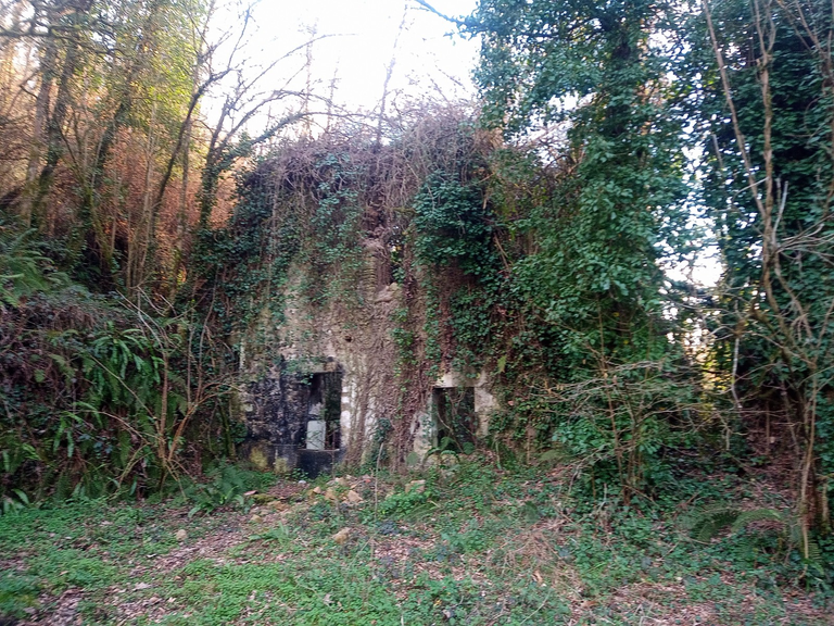 Mendi ibilaldiak: Kortaburu-Etxezarreta