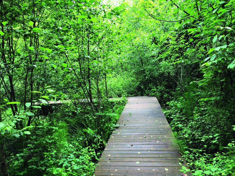 Mendi irteerak: PR-GI 205 Anporretako bira. Burdinaren bidea (apirilak 4)