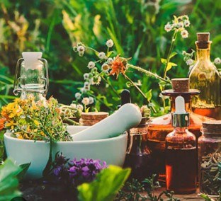 Sendabelarren tailerra