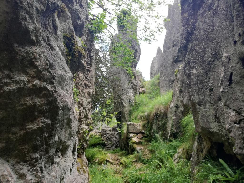 Udalatxeko bira