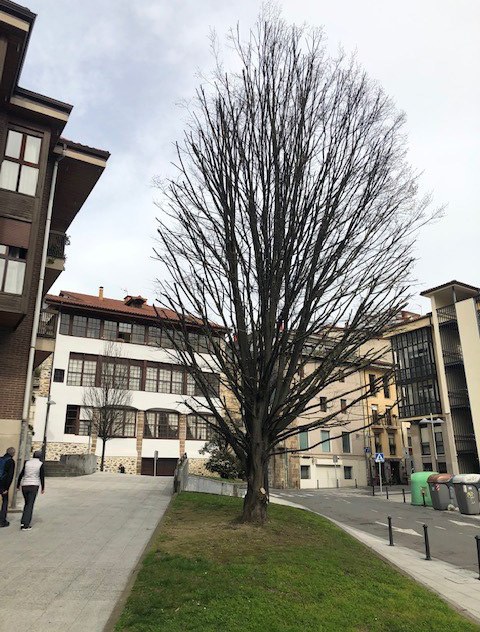 Arrasateko udaleko Obra, Zerbitzu, Mantentze eta Auzoen batzordearen azalpen oharra