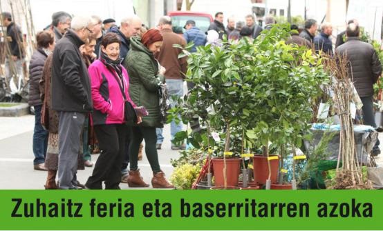 Euskal Herriko mintegietan hazitako zuhaitz landareen feria Arrasaten