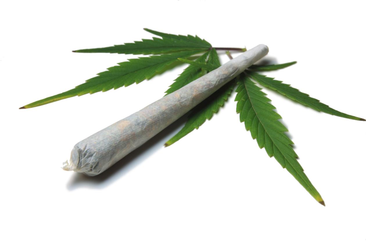 Cannabis