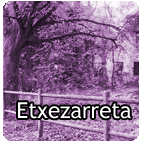 Etxezarreta eta Sagasti etxera sartu