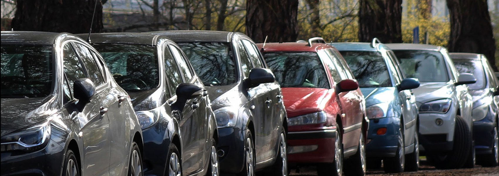 TAO ordenantzaren aldaketa - Aurrekontsulta