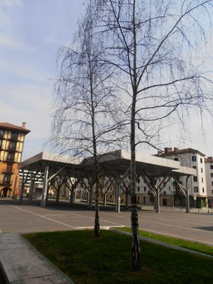 Pergola eta urkiak, betula alba.