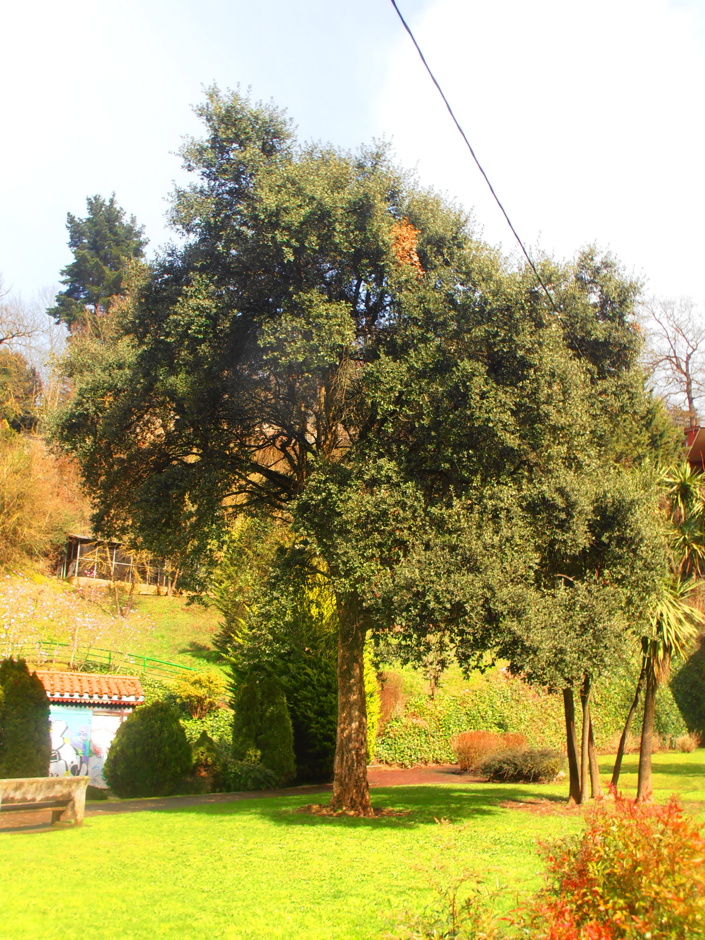 Artelatza.
